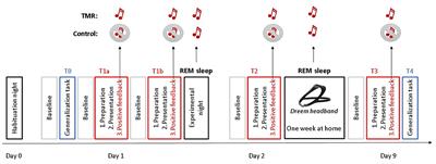 Targeted Memory Reactivation During REM Sleep in Patients With Social Anxiety Disorder